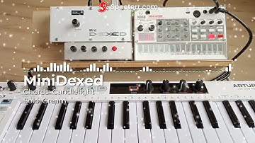 DIY synth MiniDexed and Boss RC-5 relax