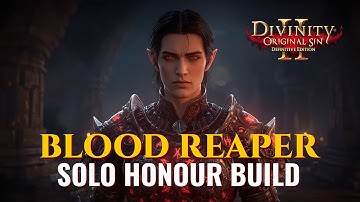 Divinity Original Sin 2 The Most OP Build in the Game Necromancer (BLOOD REAPER) Solo Honour