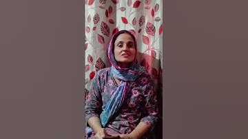 Web & App Developer Introduction | React, Next.js, WordPress, Shopify