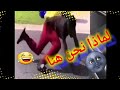 اكثر مقطع مضحك لماذا نحن هنا 