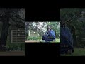 「星屑の中に」コード譜#弾き語り #おすすめ #中島寂