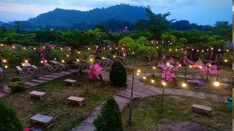 CAFE SAWAH LATAR GUNUNG PEGAT