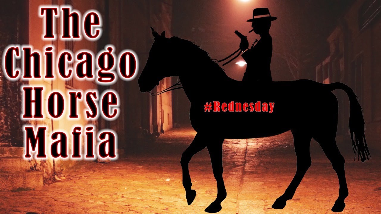 The Chicago Horse Mafia Mob Vlog Rednesday YouTube