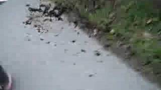 Download Lagu Ro pieds nu MP3 Download Lagu Ro pieds nu MP3