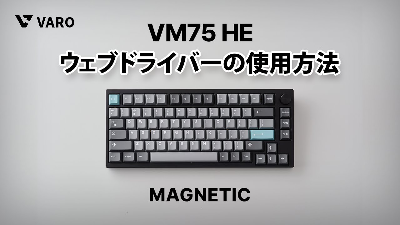VARO VM75 HE ウェブドライバーの使用方法  JAPAN GUIDE Line