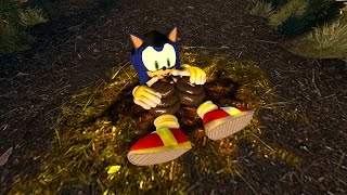 Sonic Finds His Normality