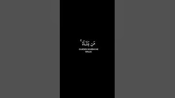 إنك لا تهدي من احببت ||كروما شاشة سوداء بصوت ياسر الدوسري #quran​ #كرومات​#راحة_نفسية​ #تلاوة_خاشعة​