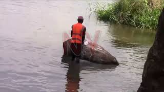 Download Lagu AMAZZI GAMUTUTTE: Owa poliisi agudde mu biyiririro bya kalagala e Kayunga MP3