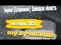 Торецк (Дзержинск) Донецкая область - музыкальное училище (колледж) / Октябрь 2023