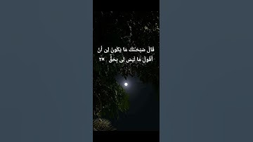 #ياسر_الدوسري #سورة_المائدة-قرآن-