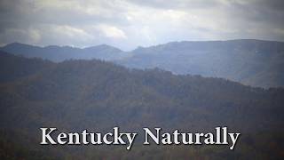 Office of Kentucky Nature Preserves: Blanton Forest State Nature Preserve