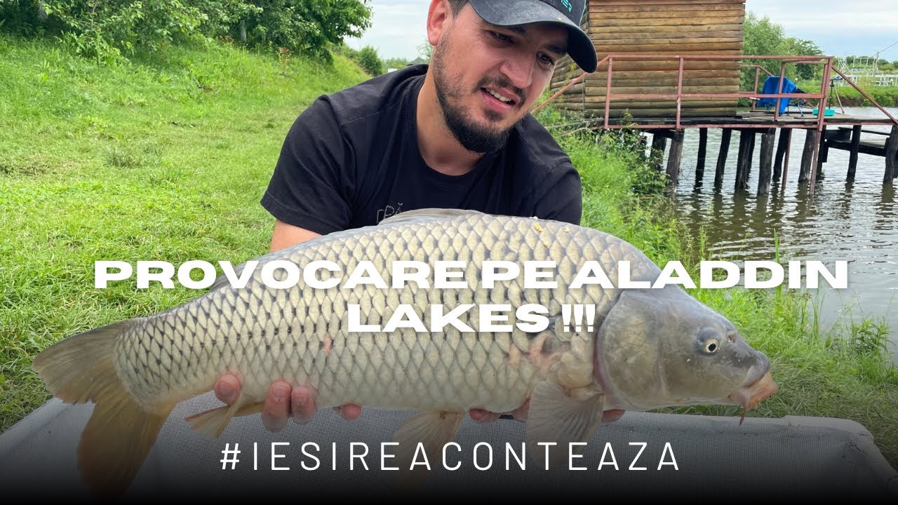 Pescuit pe standul 3 la Aladdin Lakes cu nada cerealiera