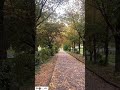 اكرمتني فلك الحمد