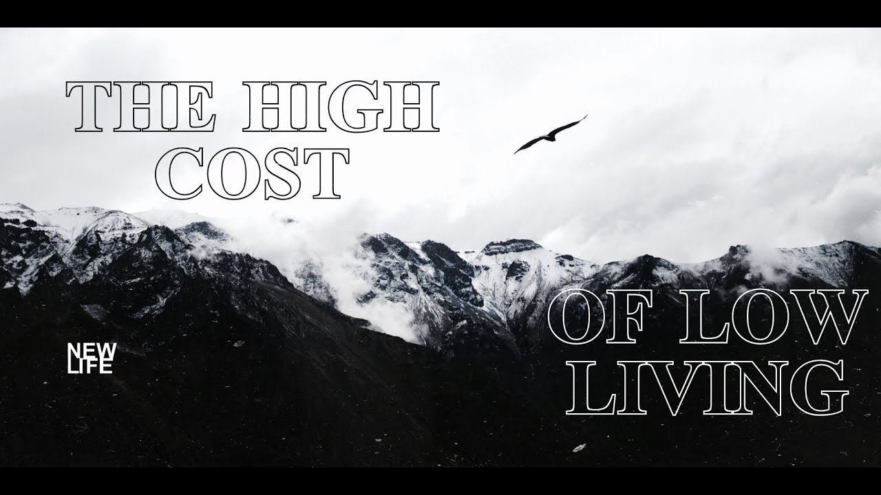 steve golin The High Cost Of Low Living