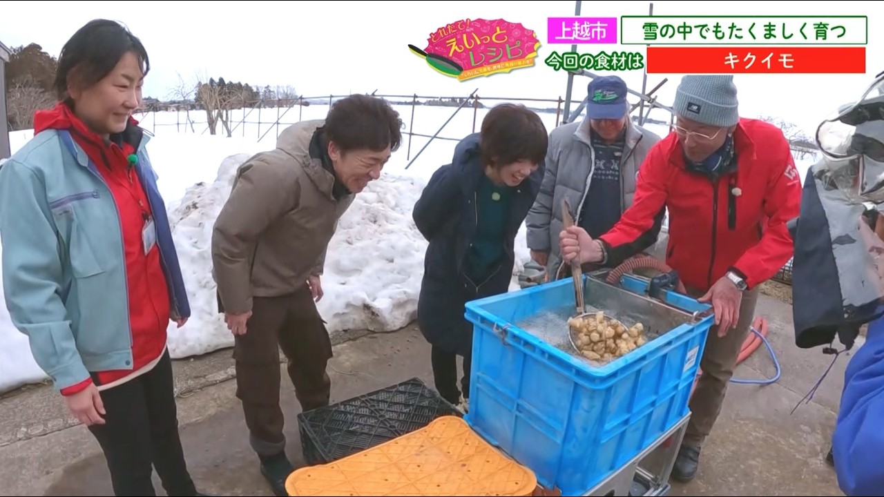 上越の新名産！？スーパーフード「キクイモ」をつかったアイデアレシピが登場！！えいっとレシピ