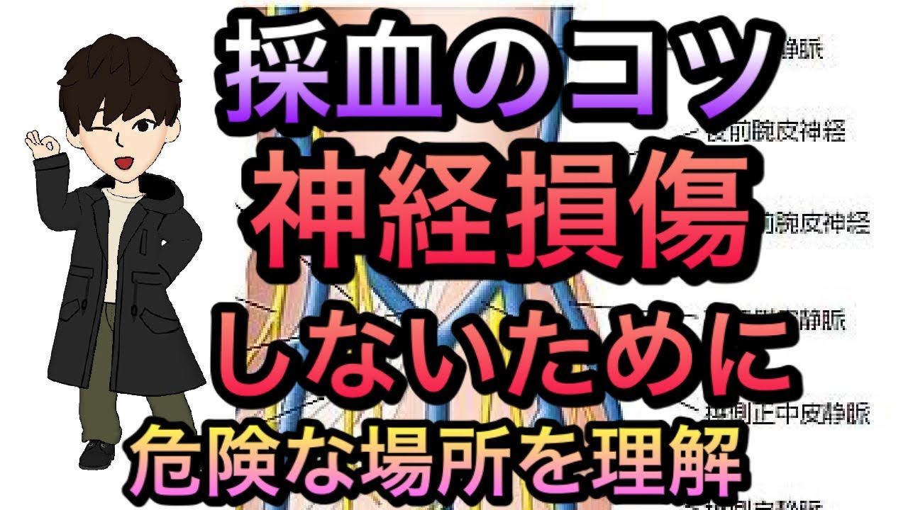 採血点滴　これを見れば注意点がわかる！腕の神経走行