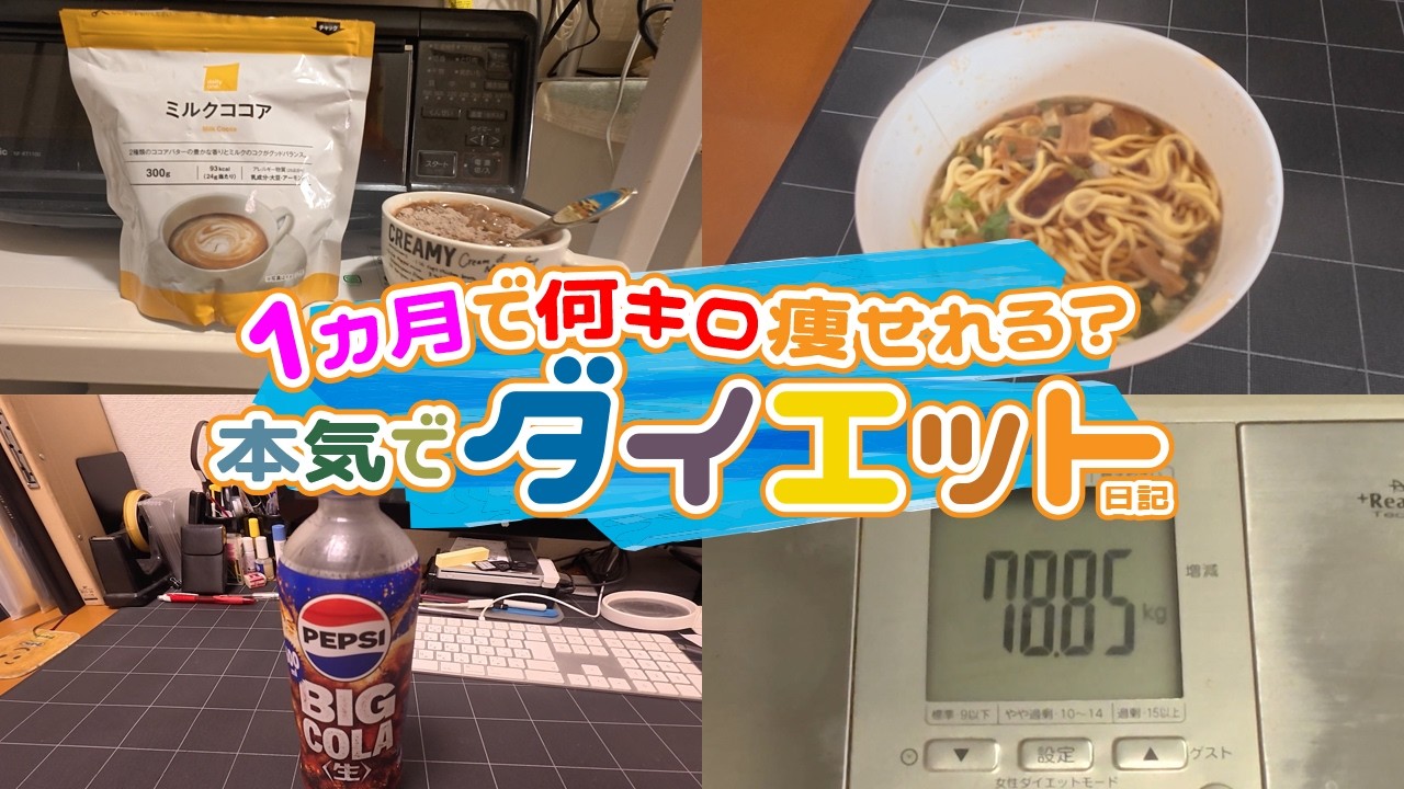 Diet Diary Day 12 (Weight 78.2→78.85kg, Body Fat 25.3→26.2