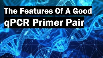 The Features Of A Good qPCR Primer Pair