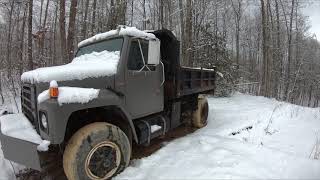 Cold Starting a Bunch of Diesel Engines For No Reason