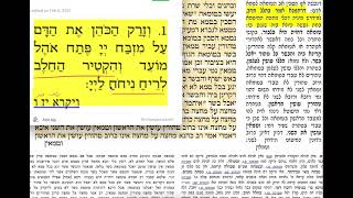 דף יומי מסכת פסחים דף עט Daf yomi Pesachim 79