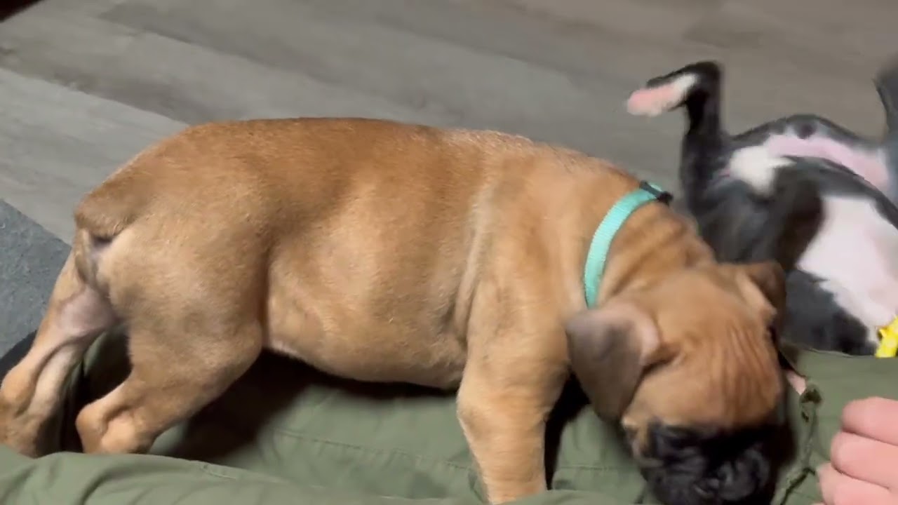 What happens when you go away…?