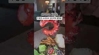 오로라카페 영상