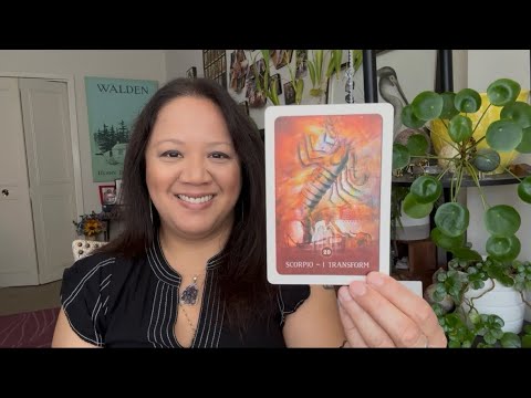 Scorpio Tarot - 🤔 Why You? Why Now?