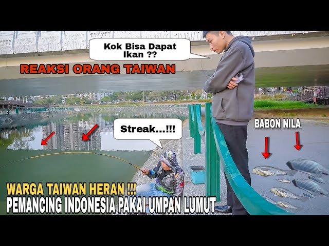 Awalnya Di Remehkan Warga Taiwan Saat Mancing Pakai Umpan Lumut class=