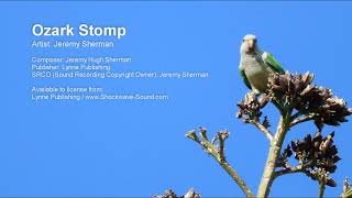 Ozark Stomp - Jeremy Sherman - Royalty free Country music from Shockwave-Sound