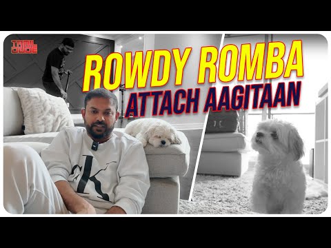 How He's Feeling? | Pampering My Pet All Day | A Day With Rowdy