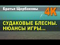 СУДАКОВЫЕ БЛЕСНЫ. НЮАНСЫ ИГРЫ