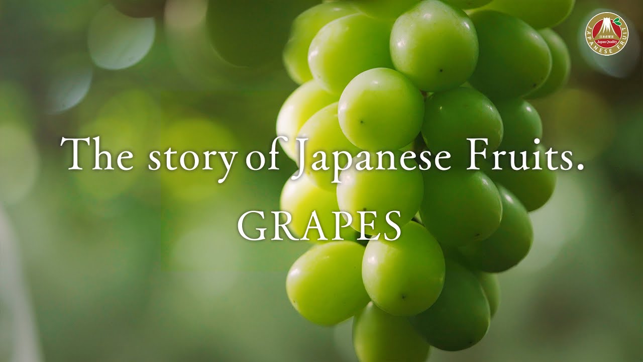 The Story of Japanese Fruits. Grapes (Thai) / เรื่องราวของผลไม้
