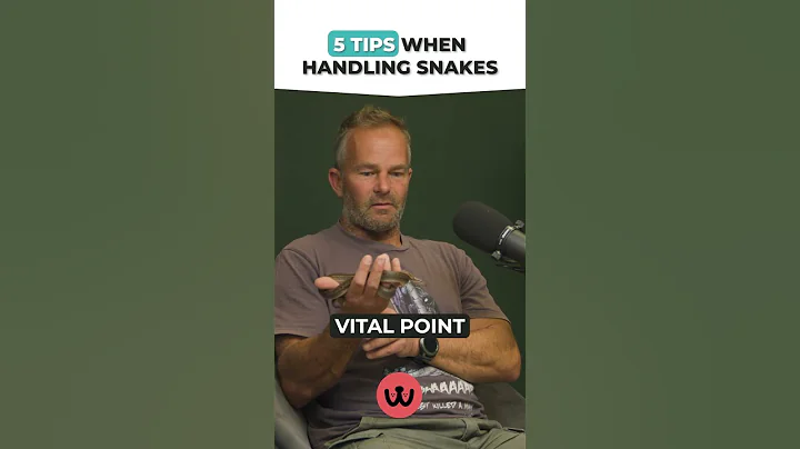 5 Tips for the SAFE Handling of Snakes!