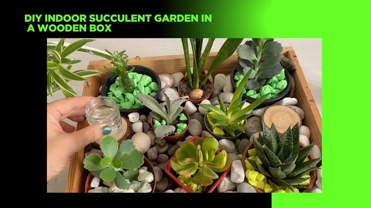 How to Make a Indoor Succulent Garden: Easy Guide