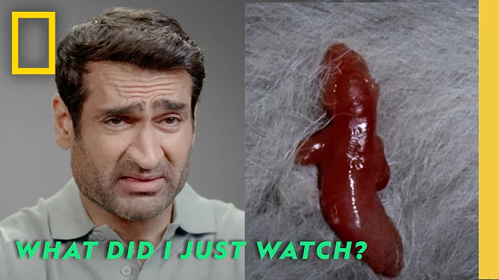 What Did I Just Watch? with Kumail Nanjiani | Hularious | National Geographic