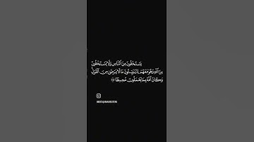 الشيخ احمد حمادي سورة النساء