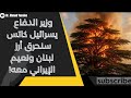 كاتس سنحرق أرز لبنان ومعه نعيم الإيراني إذا لم تتحركوا بمواجهة ميليشيا السلاح في لبنان