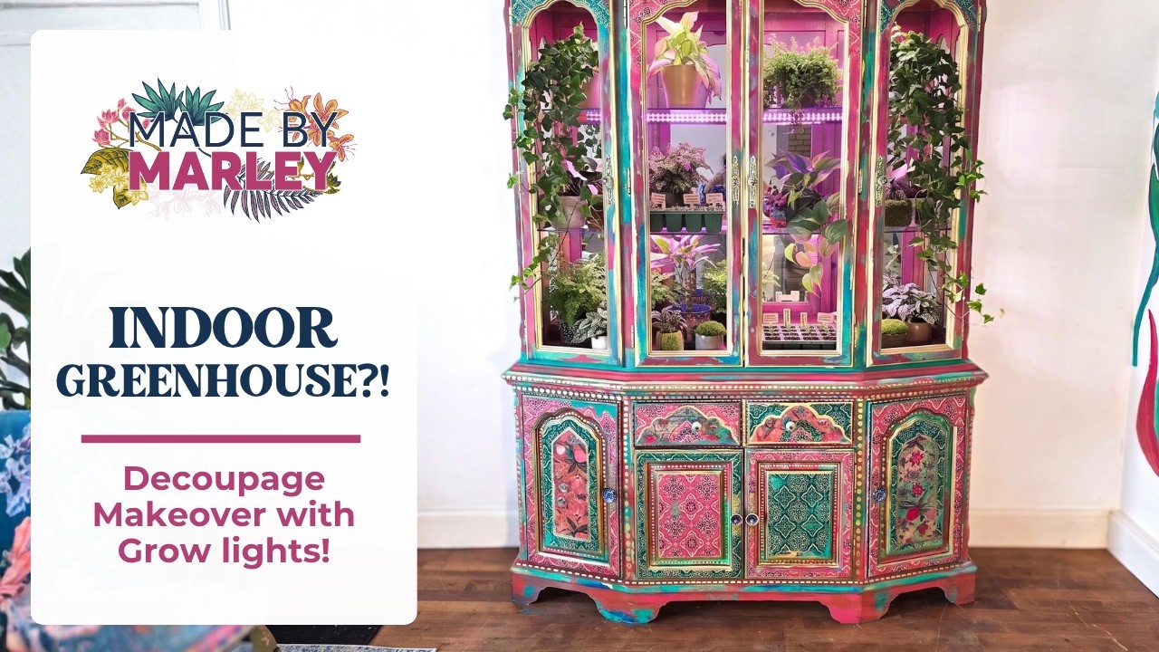 How to Turn an Old Cabinet Into an Indoor Greenhouse (DIY)