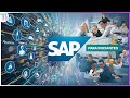 Aprenda SAP do ZERO (O que é, evolução, estrutura, processo de trabalho, módulos SAP)