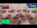 1 hour of pig man  walk the prank  compilation  disneyxd