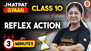 Reflex Action Concept in 3 Minutes | Control & Coordination Class 10 Biology CBSE | Jhatpat Gyaan