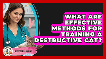 What Are Effective Methods For Training A Destructive Cat? - Happy Cat Handbook