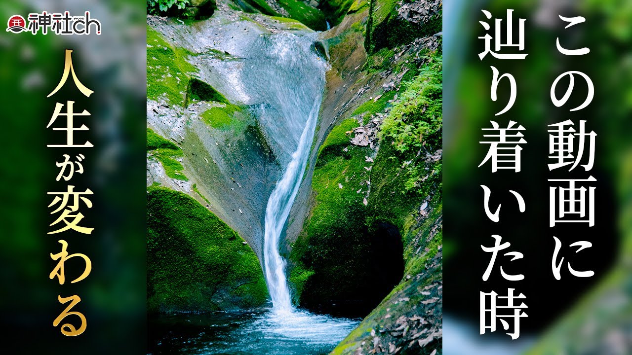 あなたの中に鎮まる龍が目醒める動画【龍鎮神社 遠隔参拝動画】