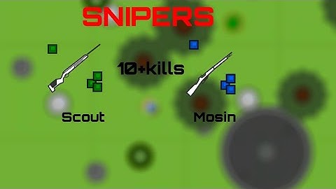 Mosin-Nagant and Scout-Elite are broken in Survev.io.