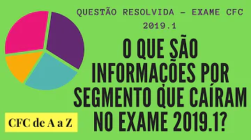 O que é informação por segmento?