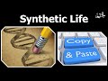 Genetics | Synthetic Life | DNA | Adeel Imtiaz | Takhti Online