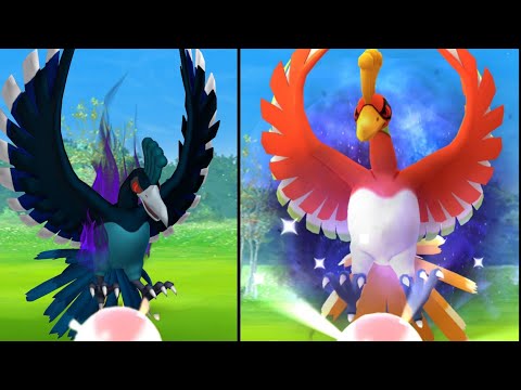 Pokémon GO on X: Arlo brought Shadow Ho-Oh to a new level of power. 🔥  Apex Shadow Ho-Oh will know Sacred Fire+, a more powerful version of Sacred  Fire. 📝 Learn more