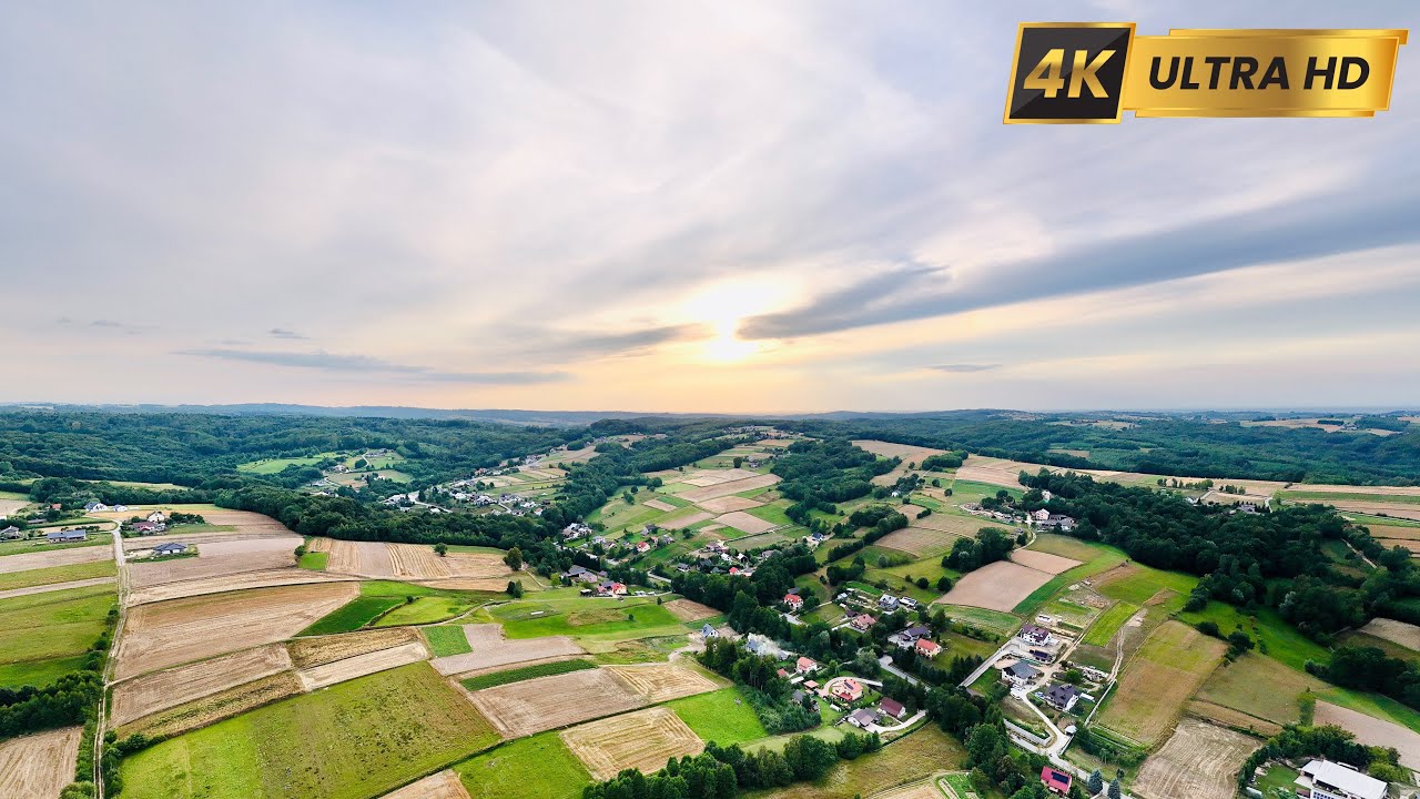 Niedźwiada z lotu ptaka