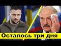 СПЕЦВЫПУСК | Лукашенко переабулся / Обещаний осталось на три дня