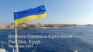 Diving Safari, Red Sea Egypt. Brothers-Daedalus-Elphinstone reefs.